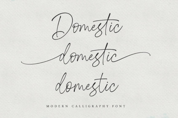 Domestic Font Poster 2