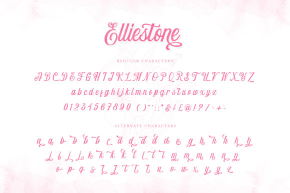 Elliestone Script Font Poster 6