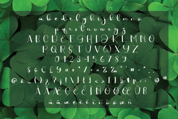 Farmhouse Font Poster 5