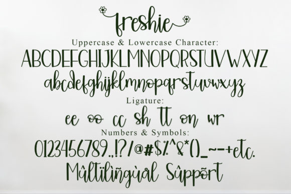 Freshie Font Poster 6