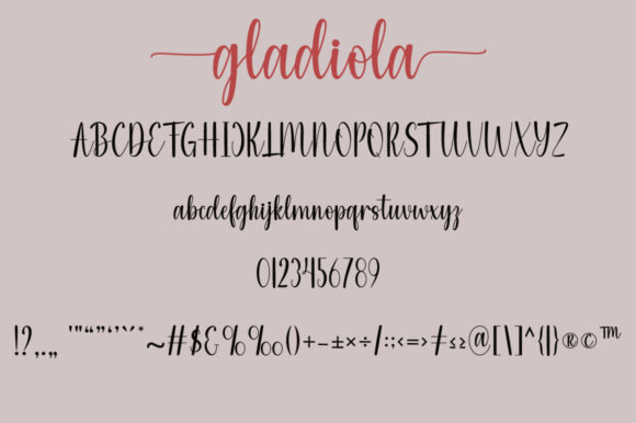 Gladiola Font Poster 5