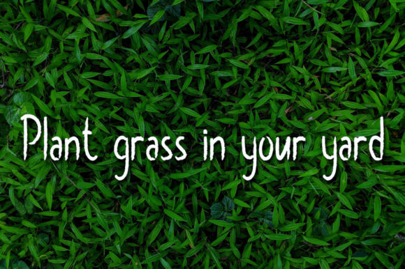 Grass Green Font Poster 2