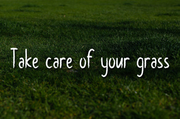 Grass Green Font Poster 4