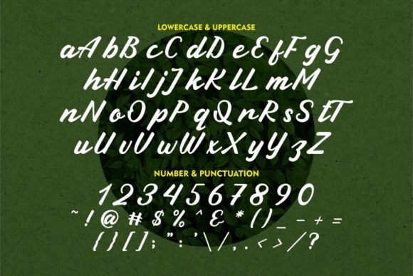 Green Leaf Font Poster 11