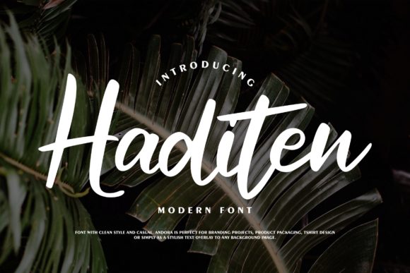 Haditen Script Font