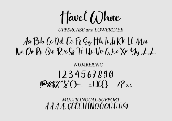 Havel White Font Poster 2