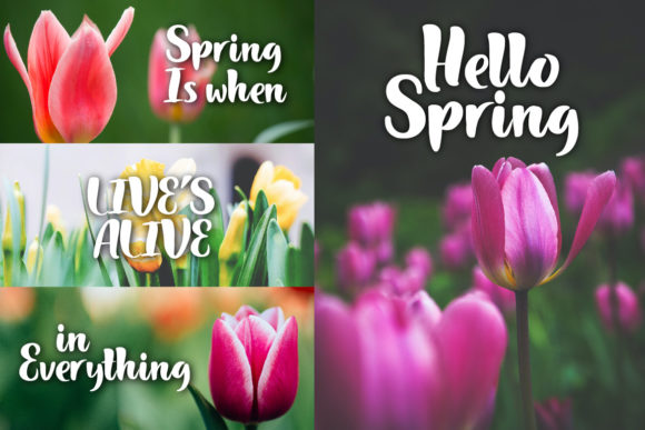 Hello Spring Font Poster 5