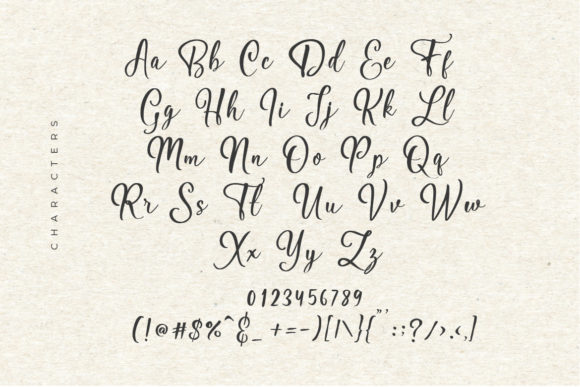 Hildegard Script Font Poster 5