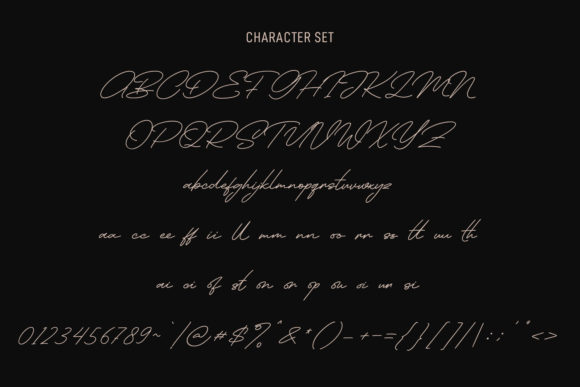 Hoffmans Signature Font Poster 8