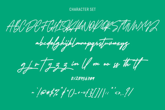 Hollestik Signature Font Poster 9