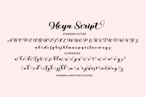 Hoya Script Font Poster 6