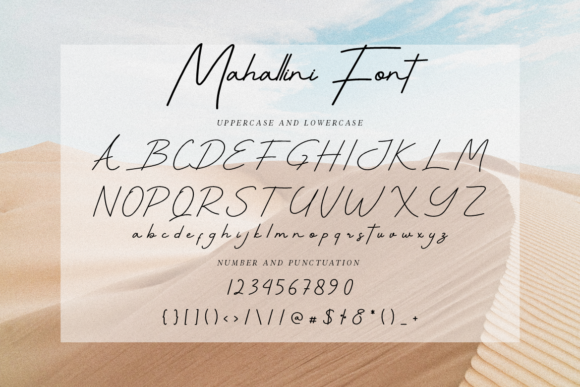 Mahallini Script Font Poster 6