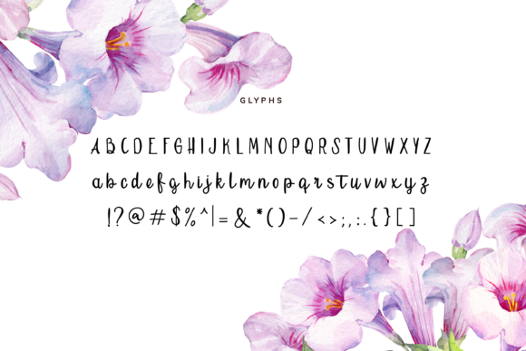 Mio Amore Font Poster 2