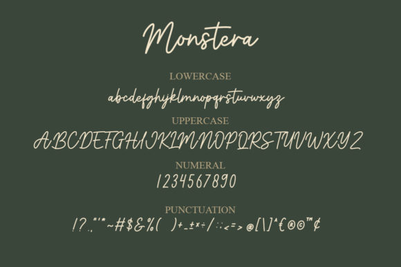 Monstera Font Poster 9