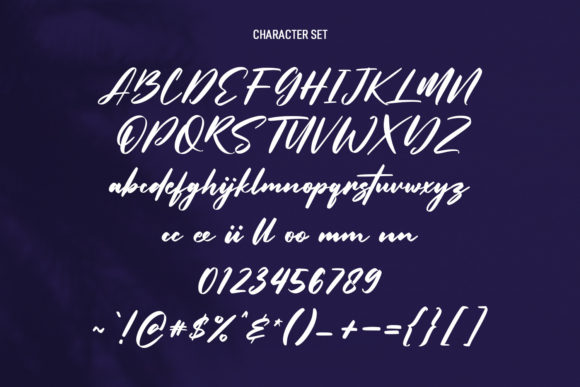 Overtis Signature Font Poster 8
