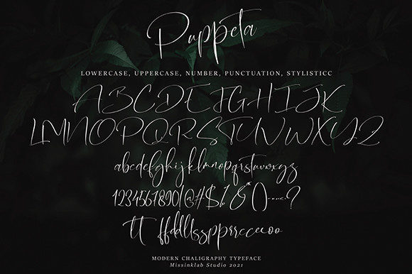 Puppeta Font Poster 11