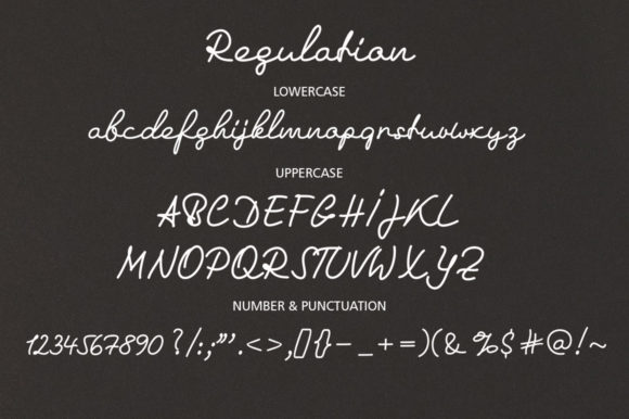 Regulation Signature Font Poster 6