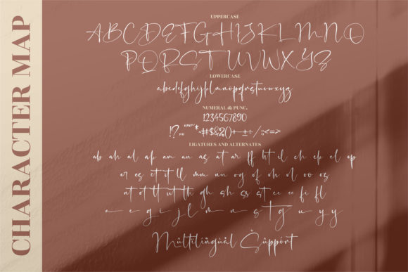 Senorita Signature Font Poster 13