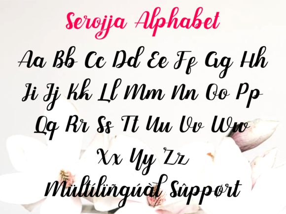 Serojja Font Poster 6