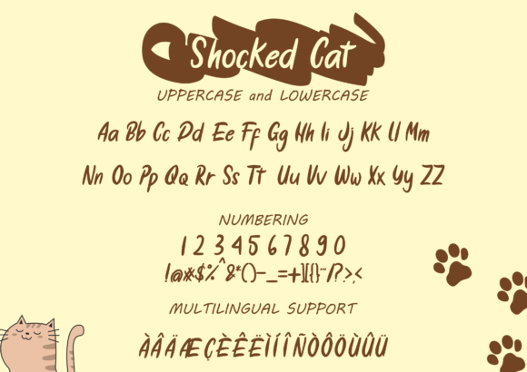 Shocked Cat Font Poster 2