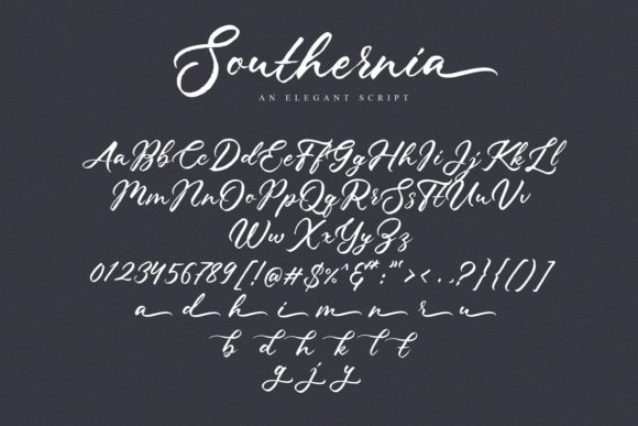 Southernia Script Font Poster 8