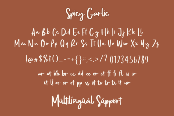 Spicy Garlic Font Poster 12