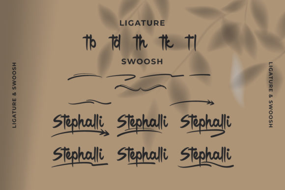 Stephalli Script Font Poster 7