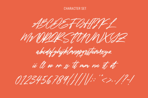 Testimoney Signature Font Poster 8