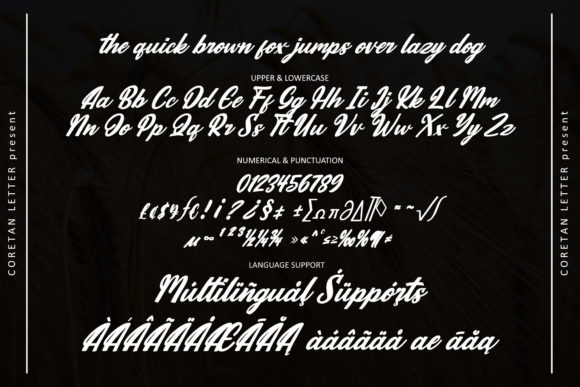 The Quantums Font Poster 5