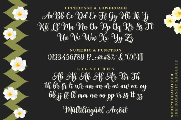 The Romantic Absolute Font Poster 12