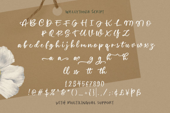 Wellytonia Package Font Poster 8