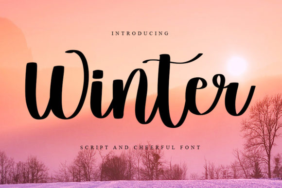 Winter Font Poster 1