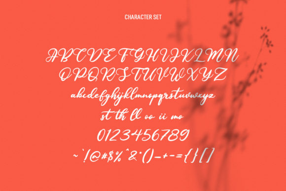 Younglines Script Font Poster 8