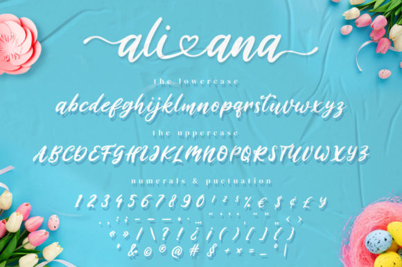 Ali Ana Font Poster 13