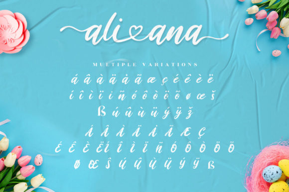 Ali Ana Font Poster 14