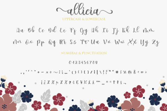 Allicia Font Poster 11