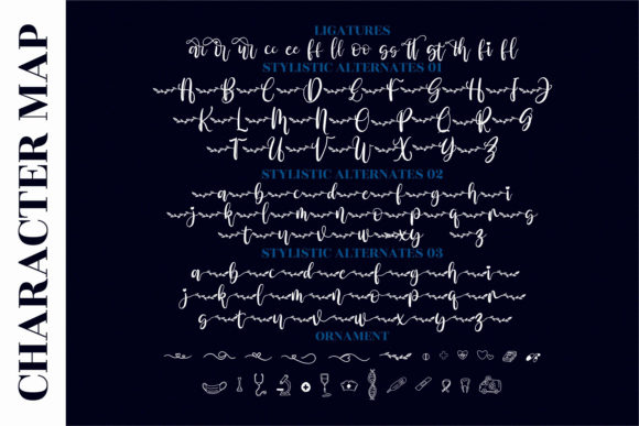 Amalia Nurse Font Poster 13