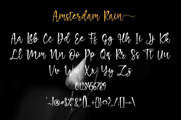 Amsterdam Rain Font Poster 4