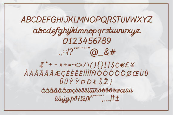 Andalan Script Font Poster 2