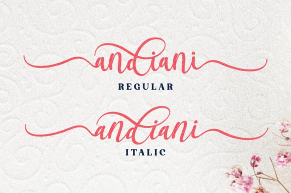 Andiani Font Poster 15