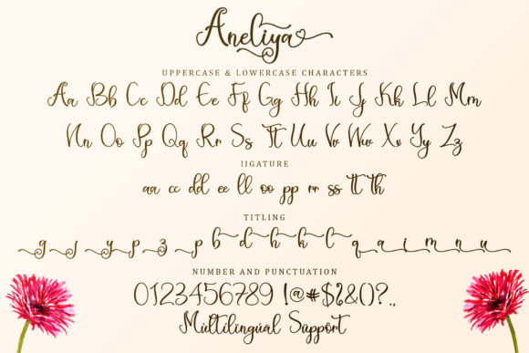 Aneliya Font Poster 7