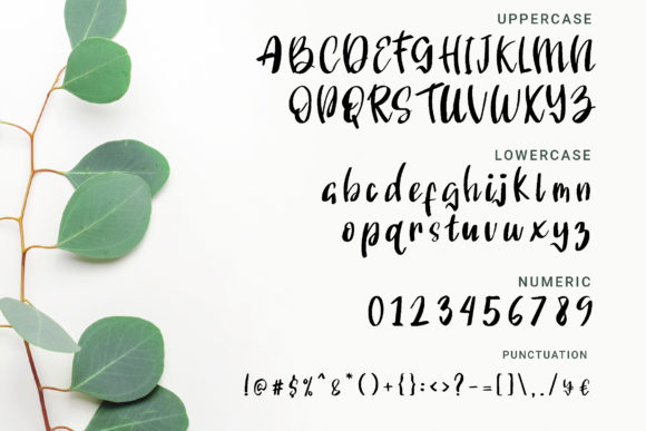 Angelonia Font Poster 2