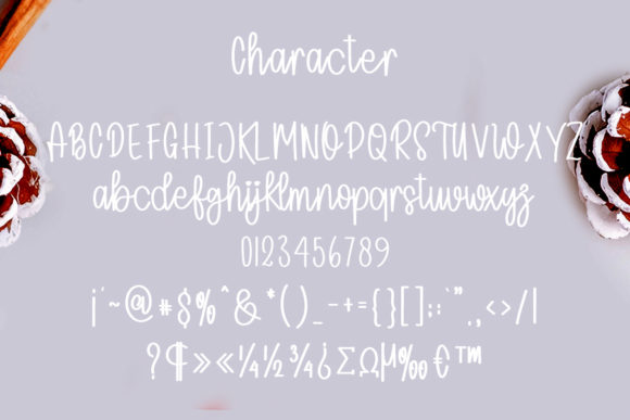 Angglea Wedding Font Poster 6