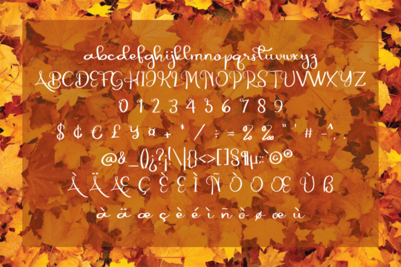 Autumn Font Poster 5