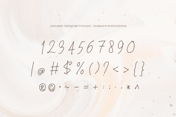 Axelords Font Poster 11