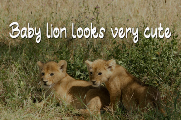 Baby Lion Font Poster 2