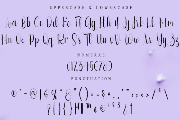 Baby Signature Font Poster 4