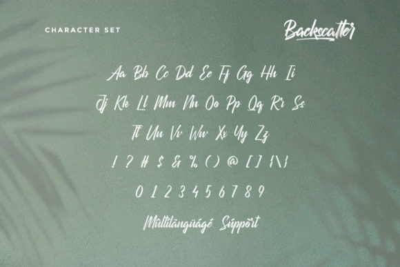 Backscatter Font Poster 4