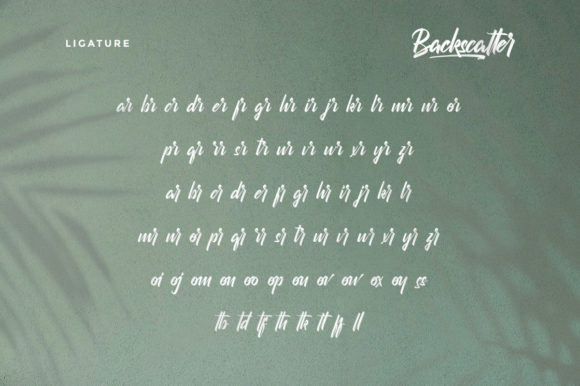 Backscatter Font Poster 6