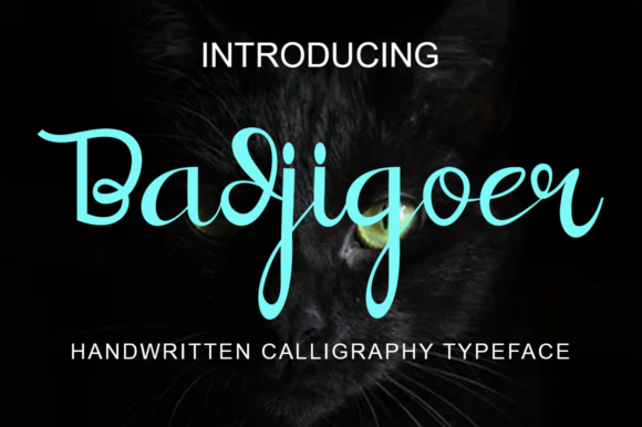 Badjigoer Font Poster 1